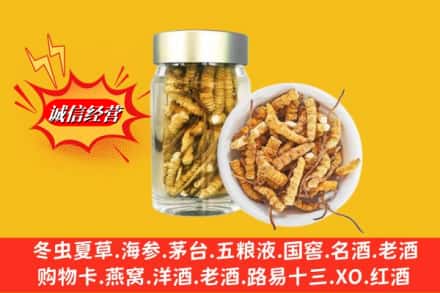 林芝工布江达县回收散虫草