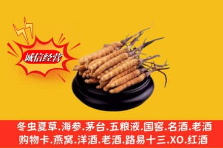 林芝工布江达县名酒回收冬虫夏草.jpg